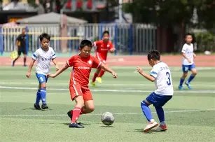 米体曝料,孔塞桑下赛,季可能辞去,赌博导航,赌博网站排行榜