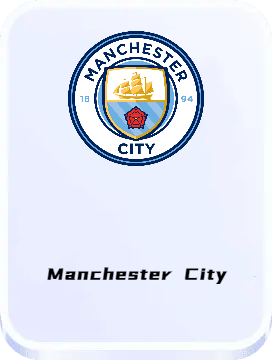 曼城球星莫,德裏奇左腿,傷情未明,赌博导航,赌博网站排行榜