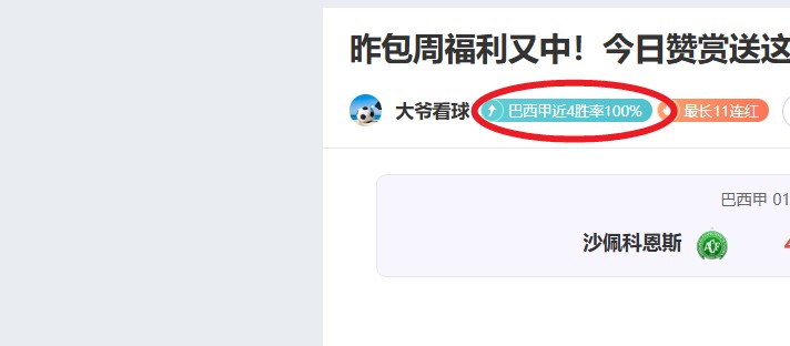 媒体报道,以色列代表,团不参与加,赌博导航,赌博网站排行榜