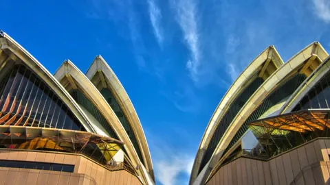 前三季度实体零售增长：便利店、专业店、超市销售额持续增长，转型升级步伐加速