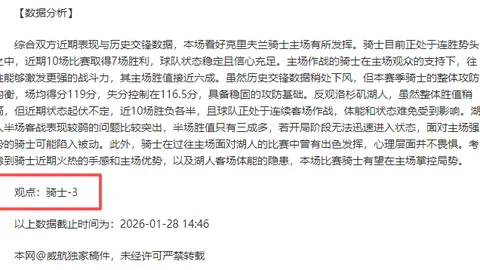 马哈奇在墨西哥公开赛网球赛中夺冠