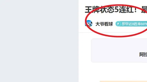 印尼砸2000万欧引进防线引争议：荷意中卫加盟，防守不力连丢5球