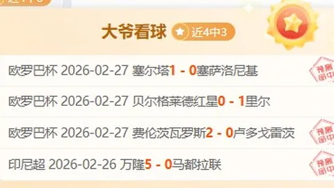 海登海姆主场制胜秘诀揭晓，汉堡客场表现能否逆袭？